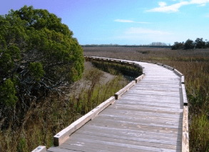 Things To Do https://sunsetrentalscharleston.icnd-cdn.com/images/thingstodo/AC7A47B8-AAB3-22EF-92C936D62E5D6693sh.png