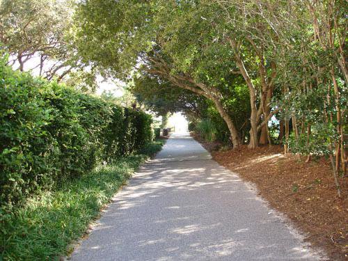 Things To Do https://sunsetrentalscharleston.icnd-cdn.com/images/thingstodo/alder-lane-beach-access.jpg