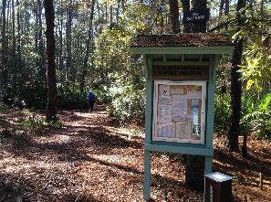 Things To Do https://sunsetrentalscharleston.icnd-cdn.com/images/thingstodo/au.png