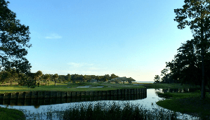 Things To Do https://sunsetrentalscharleston.icnd-cdn.com/images/thingstodo/blood.png