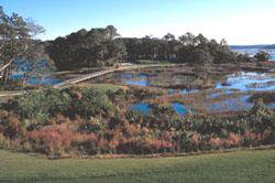 Things To Do https://sunsetrentalscharleston.icnd-cdn.com/images/thingstodo/cpgc.jpg