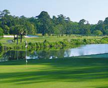 Things To Do https://sunsetrentalscharleston.icnd-cdn.com/images/thingstodo/georgefazio.jpg