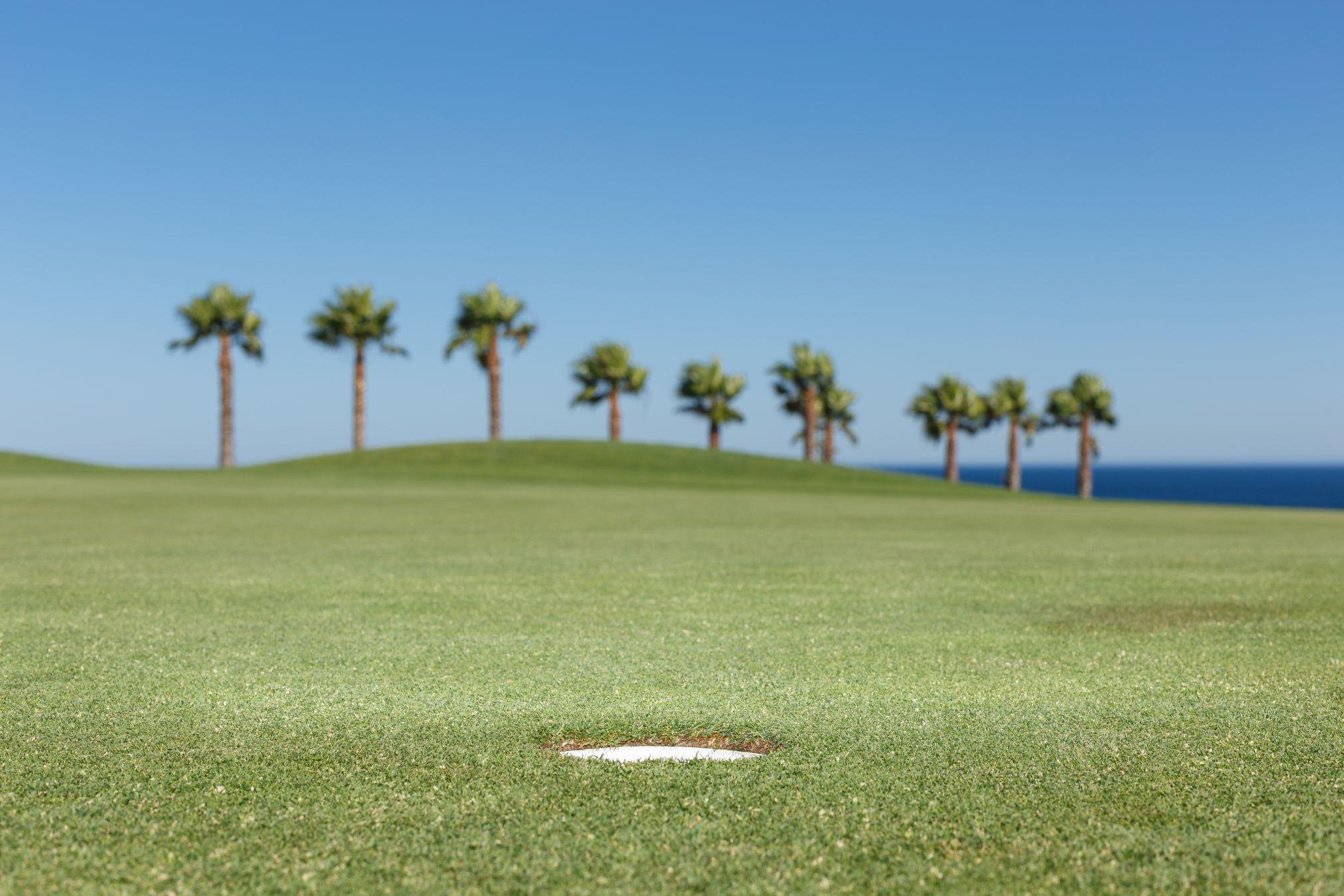 Things To Do https://sunsetrentalscharleston.icnd-cdn.com/images/thingstodo/golfstock-atlanticdunes-resized.jpg