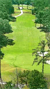 Things To Do https://sunsetrentalscharleston.icnd-cdn.com/images/thingstodo/indigorun.gif