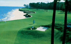 Things To Do https://sunsetrentalscharleston.icnd-cdn.com/images/thingstodo/mel.png