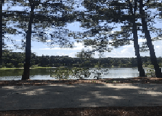 Things To Do https://sunsetrentalscharleston.icnd-cdn.com/images/thingstodo/o.png