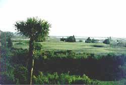 Things To Do https://sunsetrentalscharleston.icnd-cdn.com/images/thingstodo/osgl.jpg